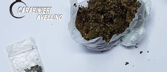 Aquilonia| Droga, il cane Olli scova la marijuana in un centro per migranti