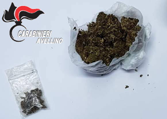 Aquilonia| Droga, il cane Olli scova la marijuana in un centro per migranti