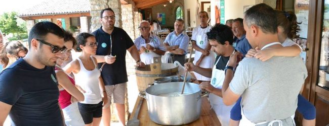 Ariano Irpino| Regio Tratturo & Friends, riecco il farm festival sul consumo consapevole