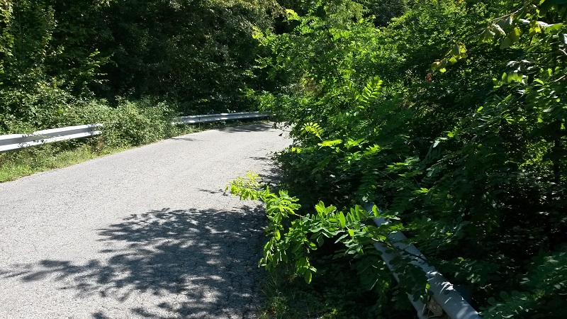 Provincia: risorse straordinarie per verde su strade provinciali