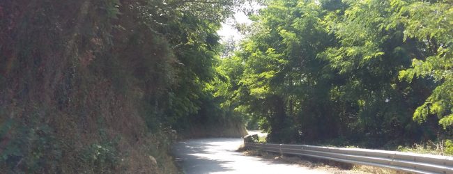 Montefusco| Pulizia strade provinciali, ci pensa il Comune