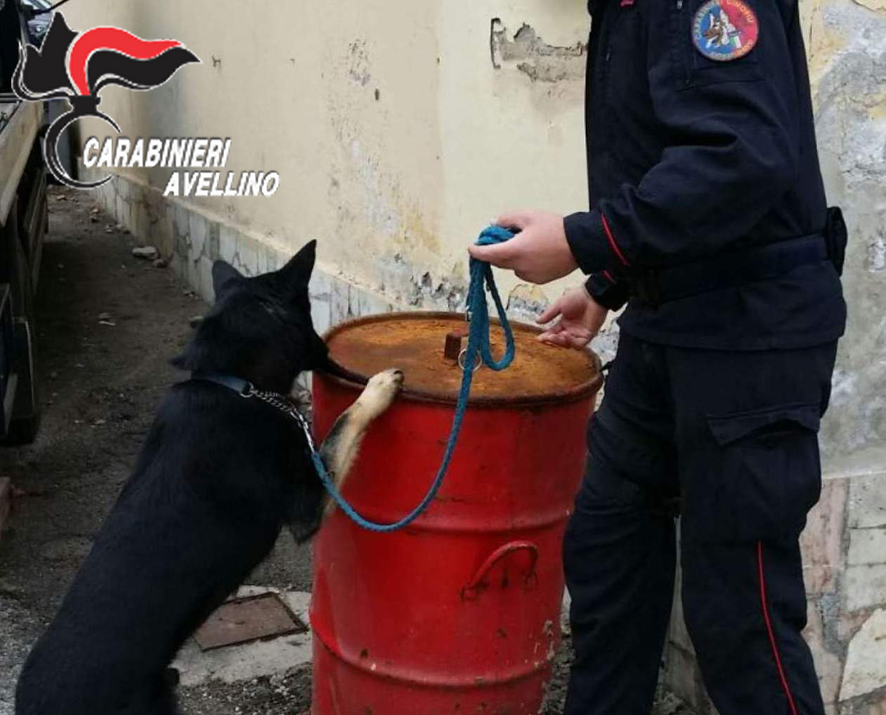 Lioni| Nasconde la marijuana in cucina e in garage, ma non sfugge al fiuto di Gero