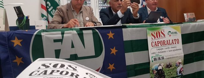 Benevento| “Sos Caporalato”, una chiamata per dire stop allo sfruttamento