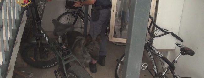 Benevento| “Operazione Forever”, la gomorra beneventana