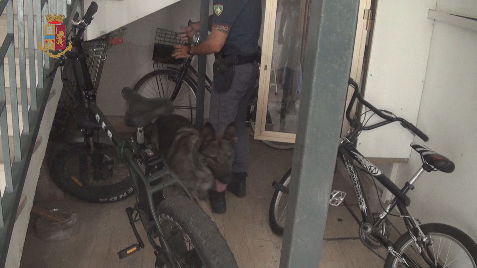 Benevento| “Operazione Forever”, la gomorra beneventana