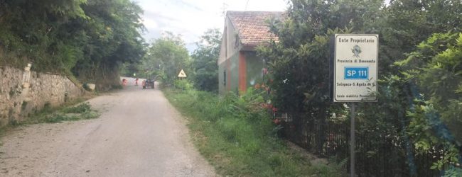 Interventi sfalcio erbe su strade provinciali