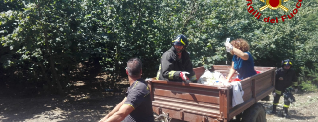 Aiello del sabato| Cade in dirupo mentre lavora nei campi, 56enne salvato dai vigili del fuoco
