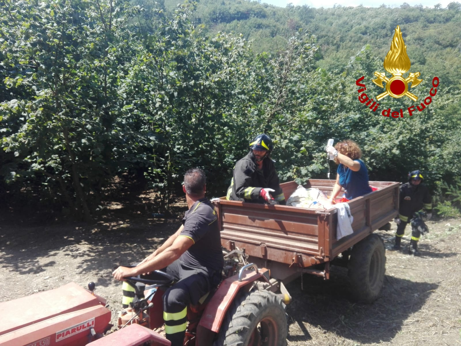 Aiello del sabato| Cade in dirupo mentre lavora nei campi, 56enne salvato dai vigili del fuoco