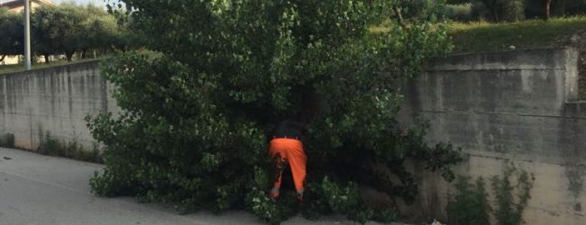 Provincia, sopralluogo lungo la fondo Valle Isclero