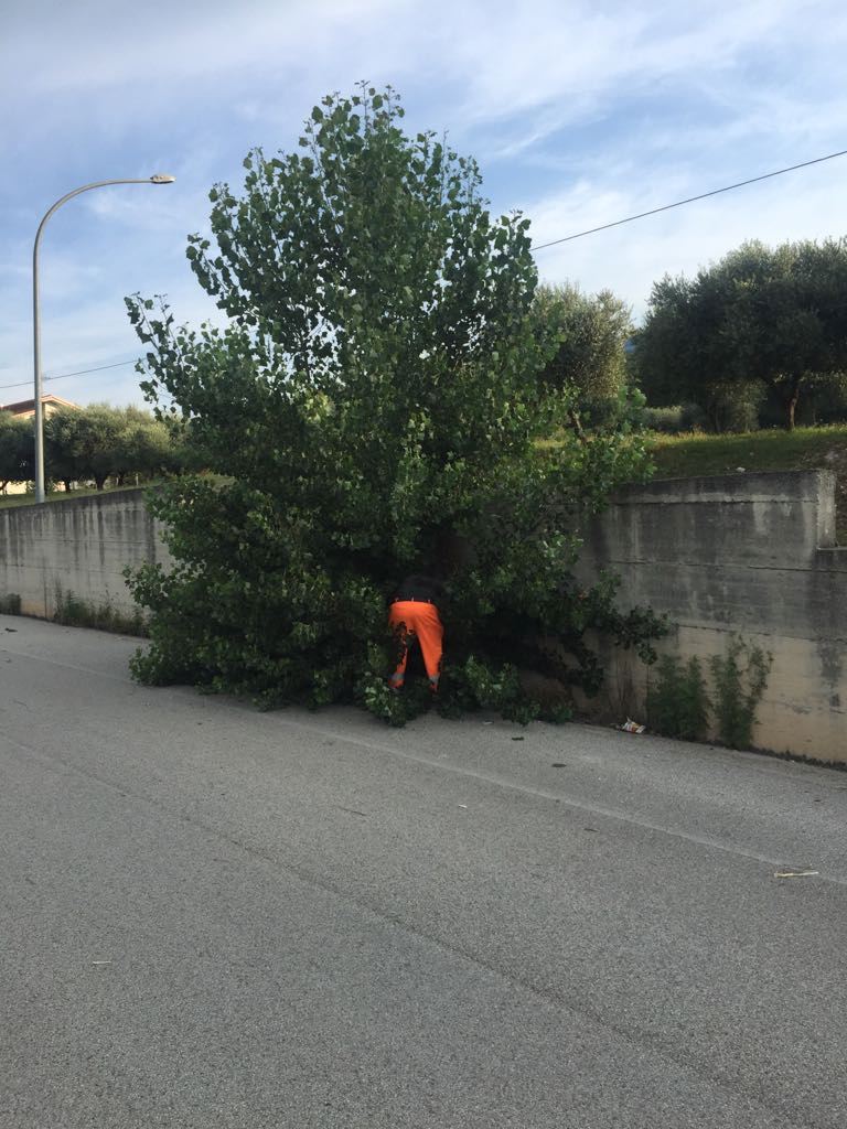 Provincia, sopralluogo lungo la fondo Valle Isclero