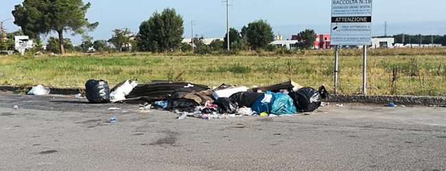 Benevento| Rifiuti e gli inzivados che agiscono di notte. Ora multe salate