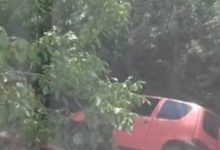 Benevento| Roseto-Olivola, il comitato di quartiere chiede sicurezza e maggiori controlli