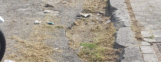 Asia-Comune: continua la lotta alla inciviltà