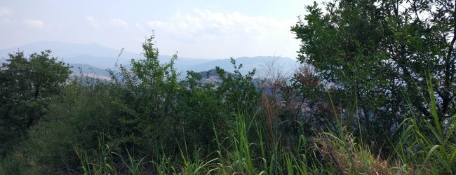 Sponz Fest 2018: Selvatico è colui che si salva