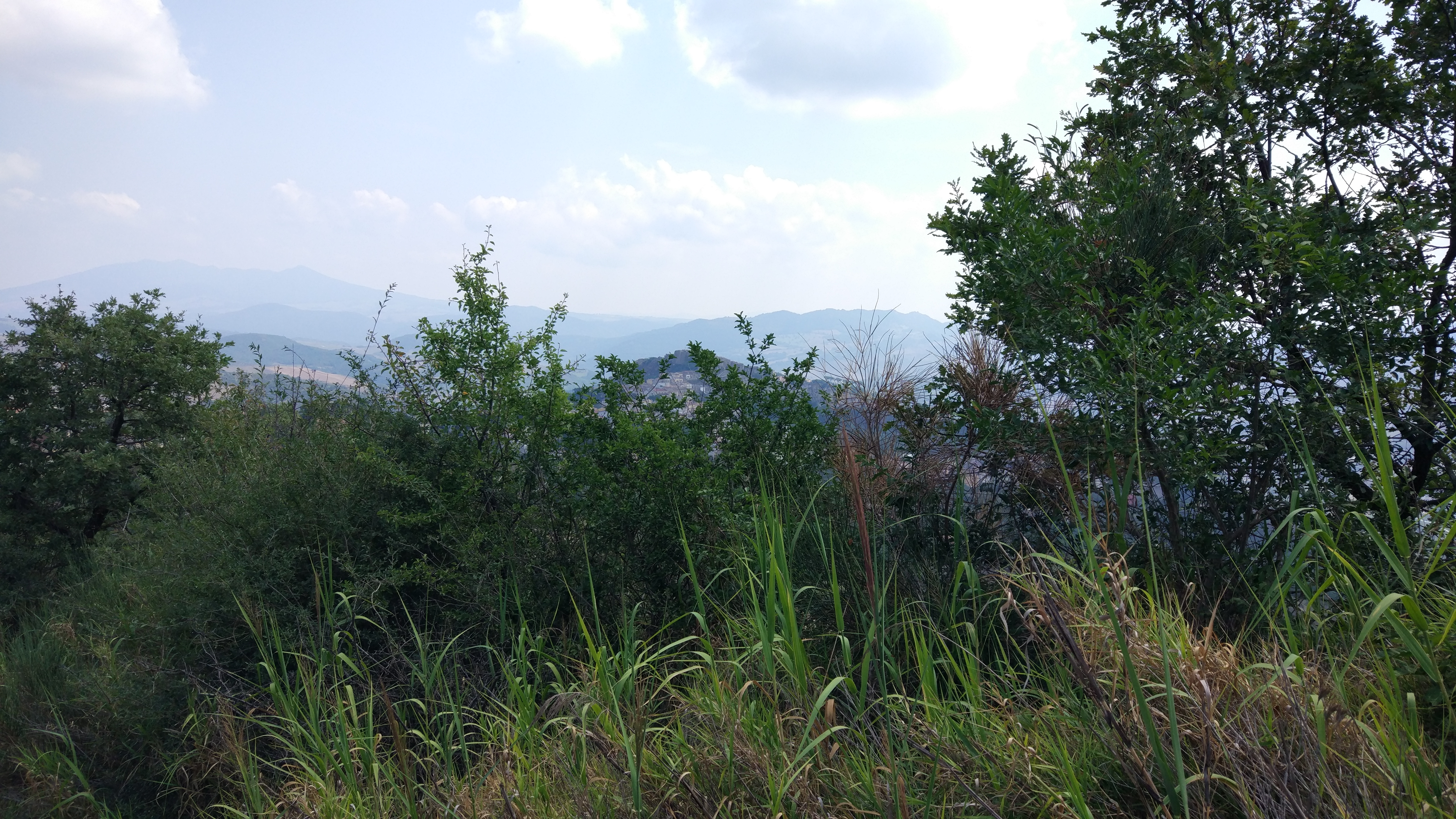 Sponz Fest 2018: Selvatico è colui che si salva