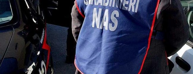 Avellino| Controlli dei Nas negli esercizi commerciali, sequestrati alimenti non tracciati