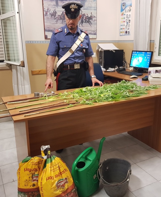 Droga a Calvi, due giovani ai domiciliari