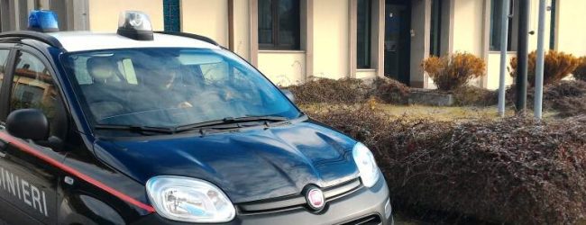 Volturara Irpina| Lavoratori in nero e gestione illecita dei rifiuti, chiuso un vivaio