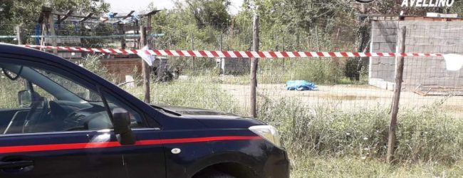 Lacedonia| Nove cani da caccia segregati in due cucce, nei guai un 35enne
