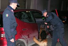 Benevento| Contrasto alla droga, operazione dei Carabinieri