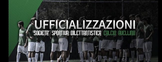 Avellino, tesserati 20 calciatori. Martedì il media day