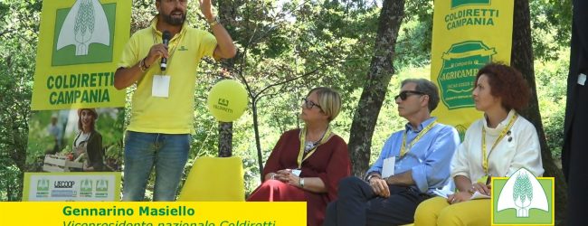 Manutenzione territori, Masiello: “Comune di Apice apre modello per strade rurali e difesa da inondazioni”