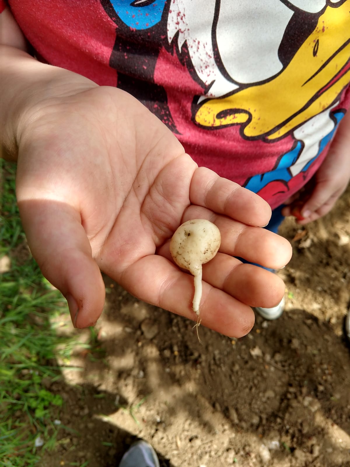 Cautano| Taburno Experience, da antico rito contadino a Brand internazionale