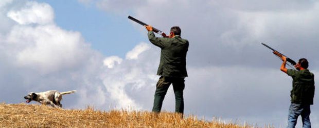 Al via stagione della caccia:WWF è allarme bracconaggio