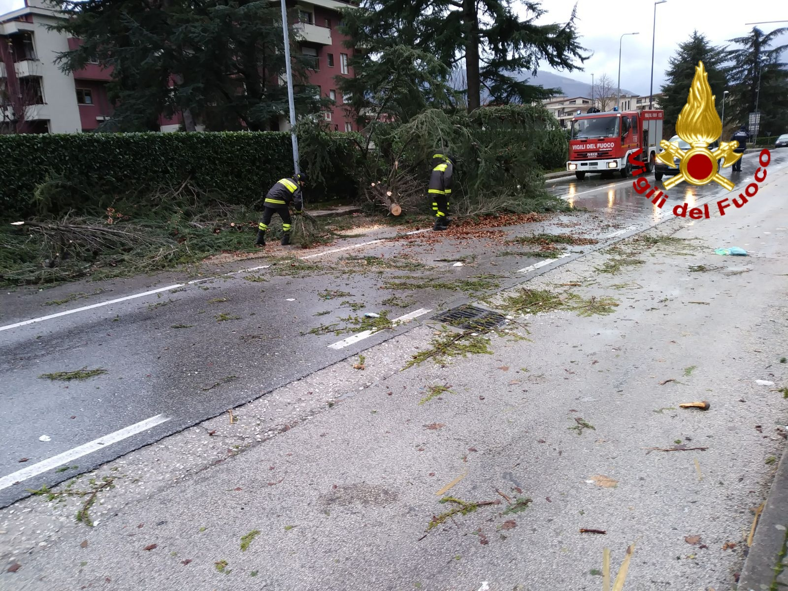 Forino| Grosso albero piegato dal vento, evacuata un’abitazione