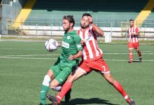 Avellino, primo pari stagionale: Sforzini blocca l’Anagni