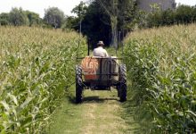 Infortuni sul lavoro, Coldiretti: “Nel settore dell’agricoltura calo del 2,9%”