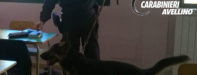 Avellino| Scuole sicure, studente pusher sorpreso con coca e hashish: arrestato