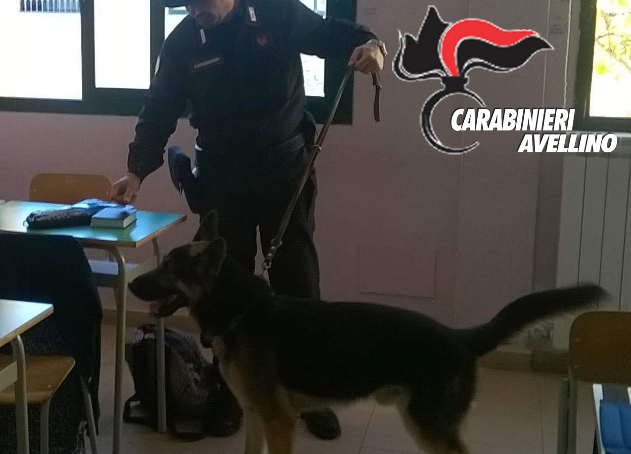 Avellino| Scuole sicure, studente pusher sorpreso con coca e hashish: arrestato
