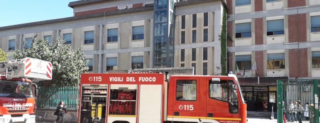 Incendio Bosco Lucarelli, IOXBenevento: ci affidiamo alla Procura