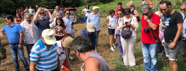 Cautano| Taburno Experience: bilancio positivo per il “rito della patata”