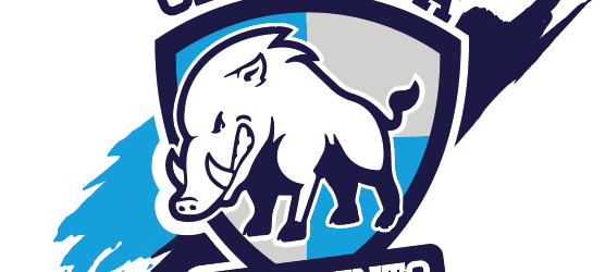 Basket| Miwa Energia Benevento, positivo atleta della prima squadra: sospesi gli allenamenti