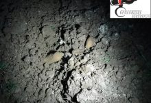 Benevento| Due Ordigni bellici rinvenuti in contrada Cardilli