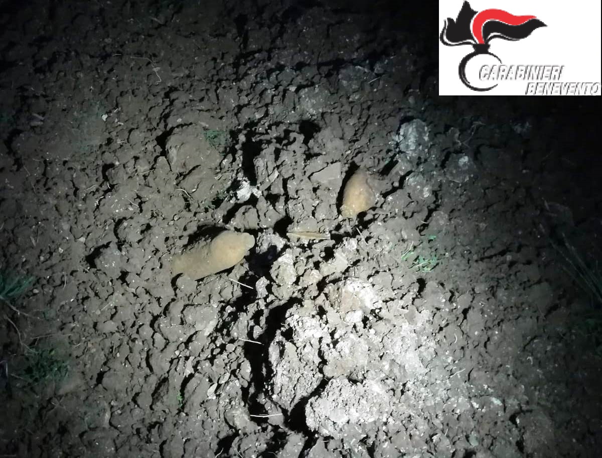 Benevento| Due Ordigni bellici rinvenuti in contrada Cardilli