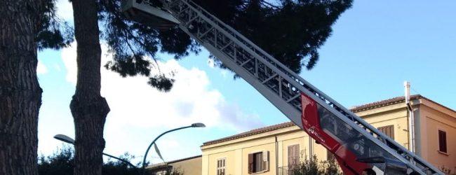 Benevento| Maltempo, la conta dei danni in città
