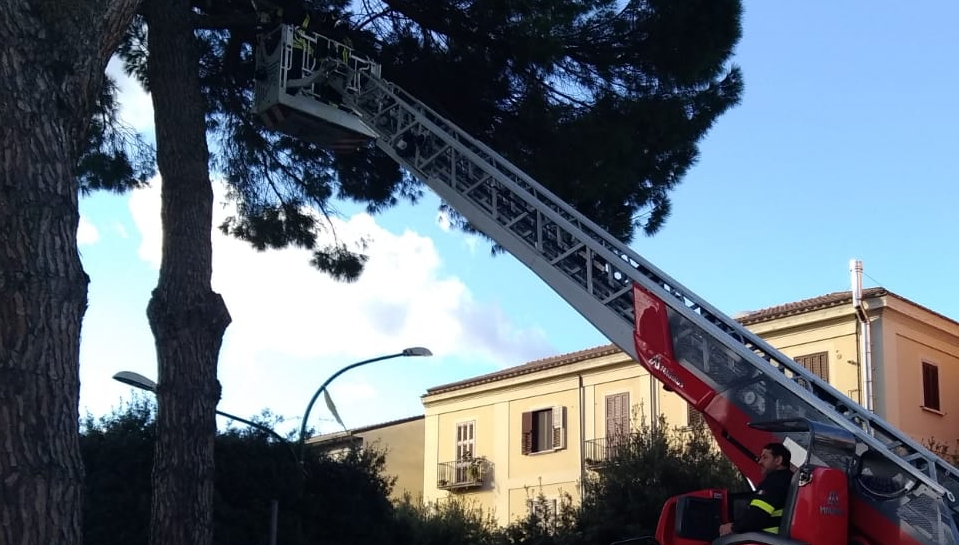 Benevento| Maltempo, la conta dei danni in città