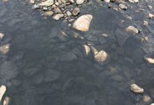 Reino| Le acque del torrente ancora sporche.Si attendono i risultati dell’ARPAC