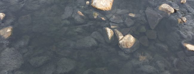 Reino| Le acque del torrente ancora sporche.Si attendono i risultati dell’ARPAC