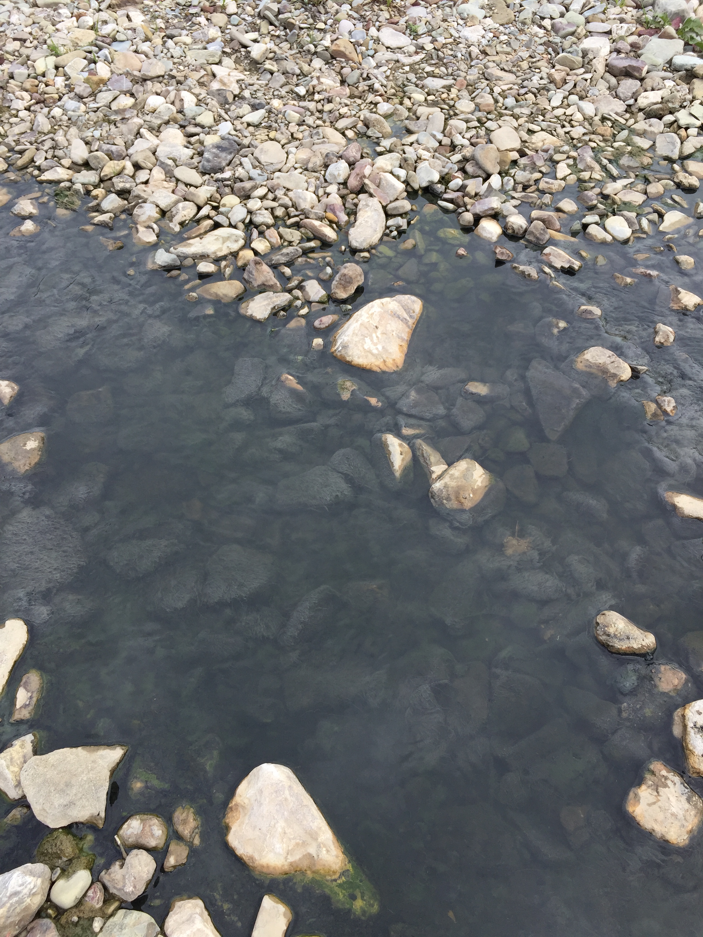 Reino| Le acque del torrente ancora sporche.Si attendono i risultati dell’ARPAC