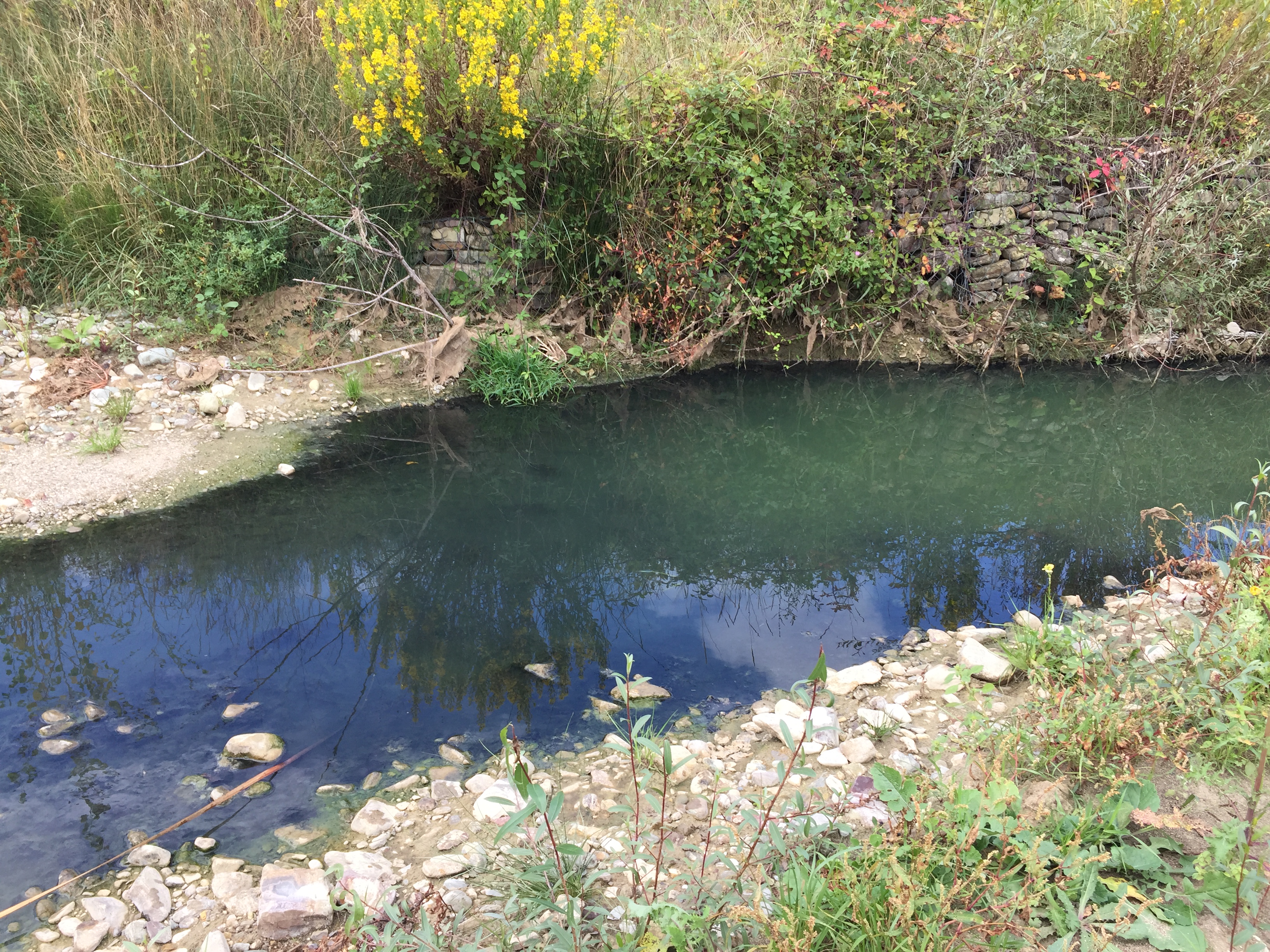 Reino| Carabinieri Forestali, sopralluogo al Reinello:”nel fiume finiscono reflui fognari”