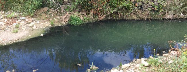 Reino| La segnalazione: Acque nere nel torrente Reinello,sospetto reato ambientale