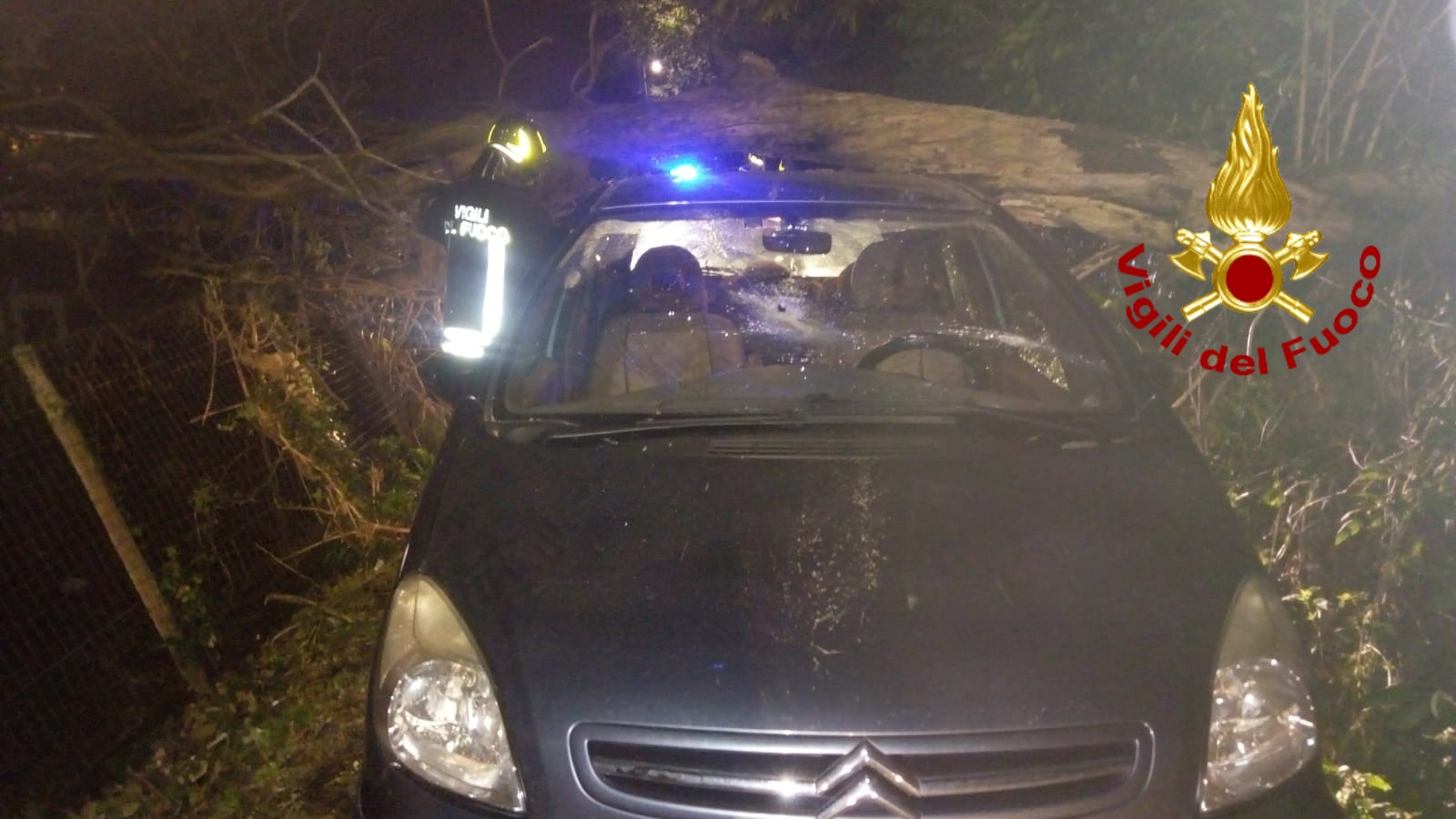 Avellino| Albero su auto in transito, conducente ferito: intervengono i vigili del fuoco