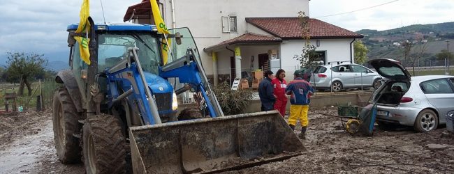 Benevento| Alluvione Sannio, Masiello (Coldiretti): “agli agricoltori 1/6 dei ristori dopo tre anni”