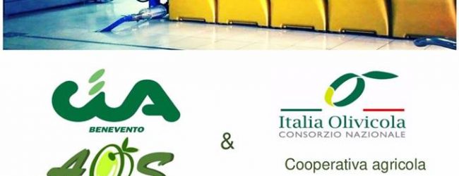 Frasso Telesino| Gli olivicoltori sanniti incontrano i deputati Gallinella, Gagnarli e Maglione