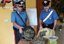 Taurasi| Nascondeva 3 kg di marijuana nella rimessa agricola, arrestato 52enne
