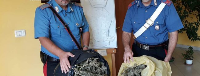 Taurasi| Nascondeva 3 kg di marijuana nella rimessa agricola, arrestato 52enne
